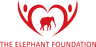 Elephant Foundation Limited, The logo