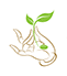 Care For Life Foundation Limited logo