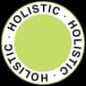 Holistic S.Y. Limited logo