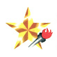 China Star Light Charity Fund Association logo