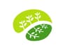 Early Psychosis Foundation logo
