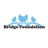 Bridge Foundation Limited logo